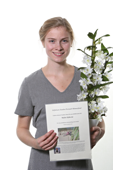 Stipendieutdelningen 2014